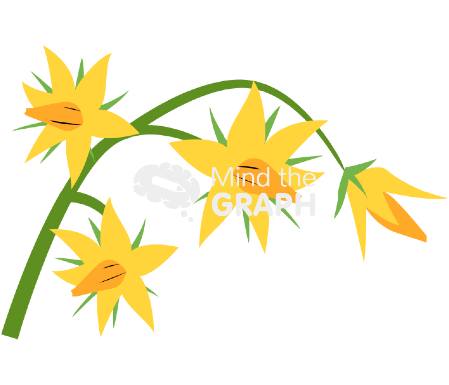 Tomato flowers Icons, Symbols, Pictures, and Images