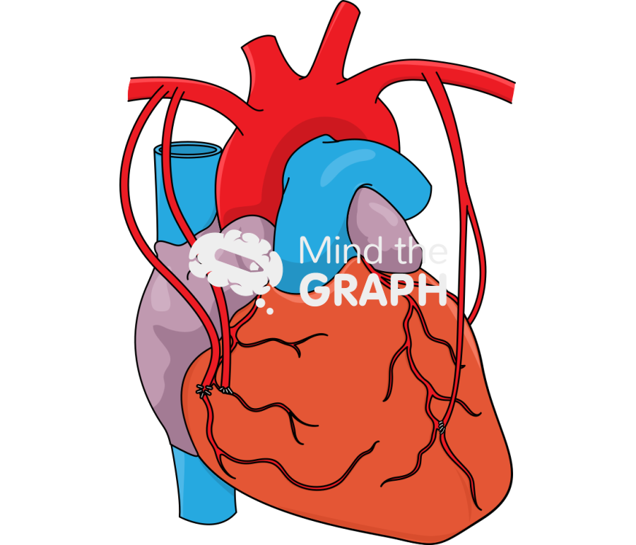 Total arterial revascularizatin Icons, Symbols, Pictures, and Images