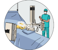 Total hip arthroplasty intraoperative x ray zoom - Edit and Customize Icons of Total hip arthroplasty intraoperative x ray zoom Total hip arthroplasty intraoperative x ray zoom Icons, Symbols, Pictures, and Images