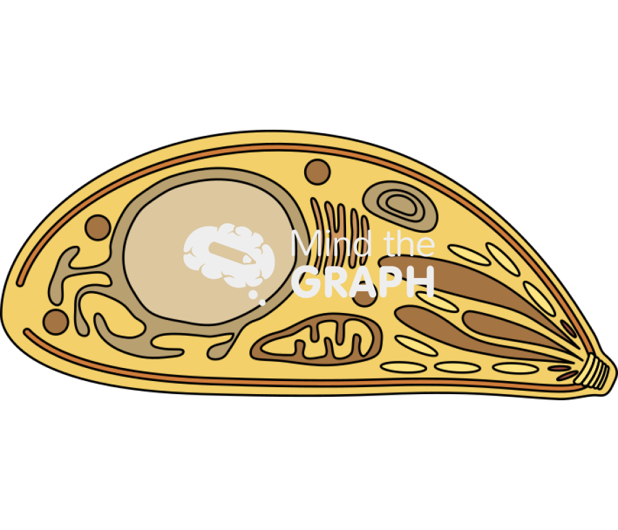 Toxoplasma gondii Icons, Symbols, Pictures, and Images