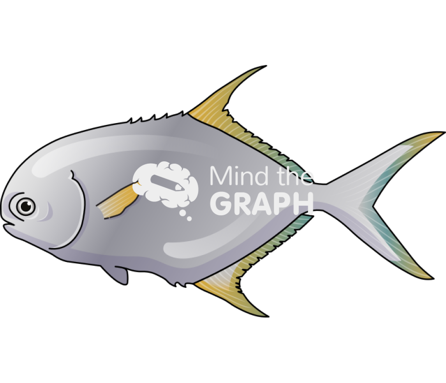 Trachinotus blochii fish Icons, Symbols, Pictures, and Images