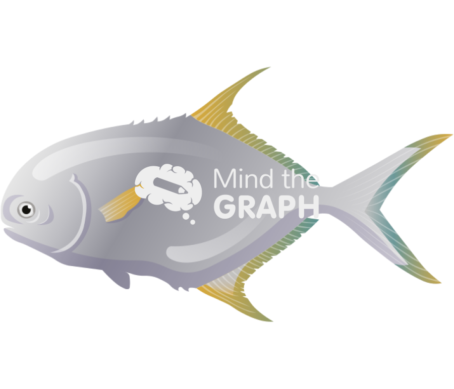 Trachinotus blochii fish Icons, Symbols, Pictures, and Images