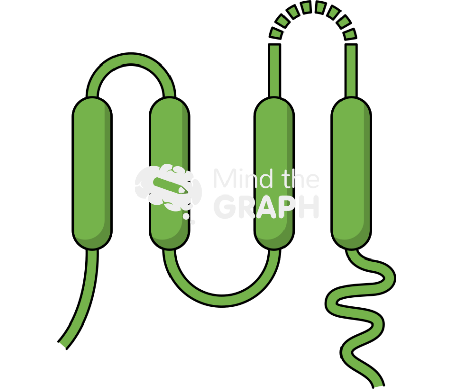 Transmembrane protein 1 Icons, Symbols, Pictures, and Images