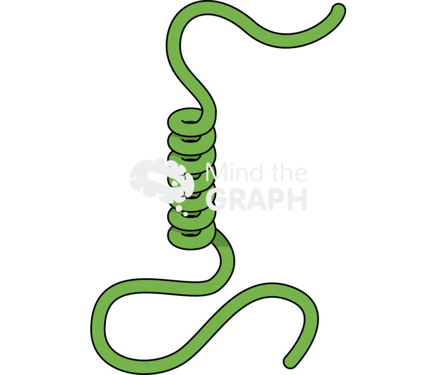 Transmembrane protein 3 Icons, Symbols, Pictures, and Images