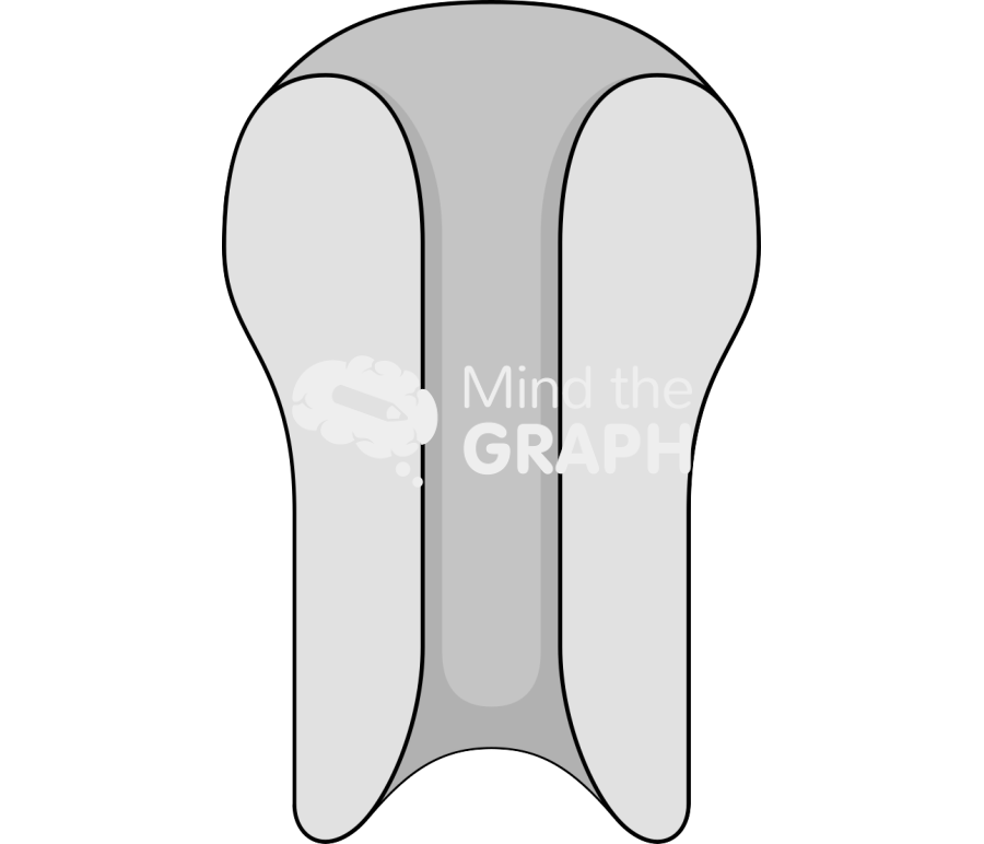 Transporter Icons, Symbols, Pictures, and Images