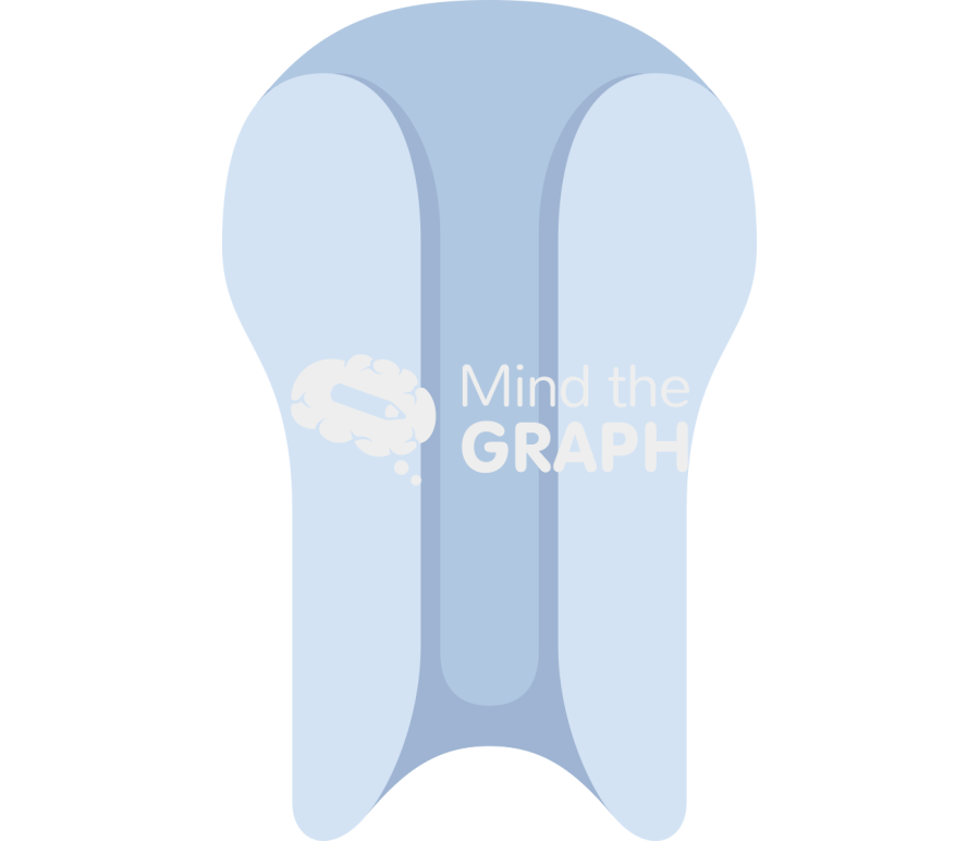 Transporter Icons, Symbols, Pictures, and Images