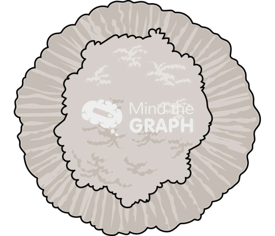 Trichosporon asahii Icons, Symbols, Pictures, and Images