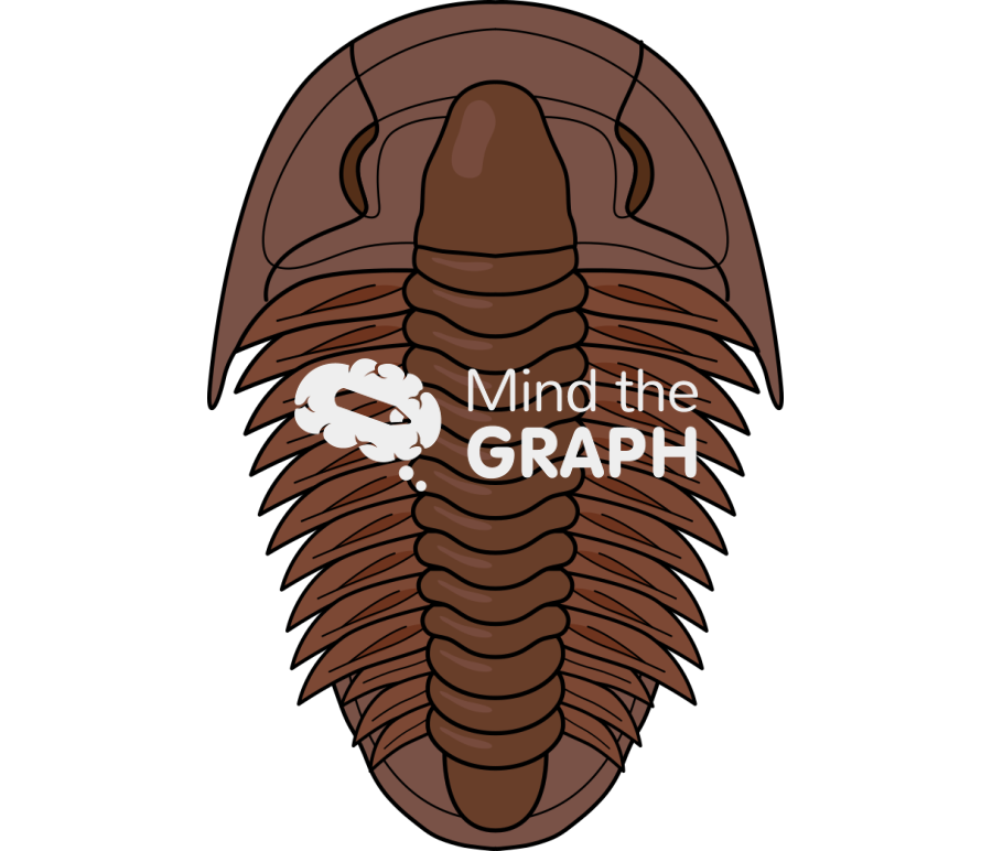 Trilobite Icons, Symbols, Pictures, and Images