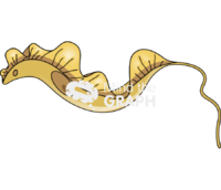 Trypanosoma - Edit and Customize Icons of Trypanosoma Trypanosoma Icons, Symbols, Pictures, and Images