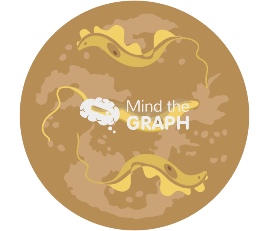 Trypanosoma cruzi faeces zoom Icons, Symbols, Pictures, and Images