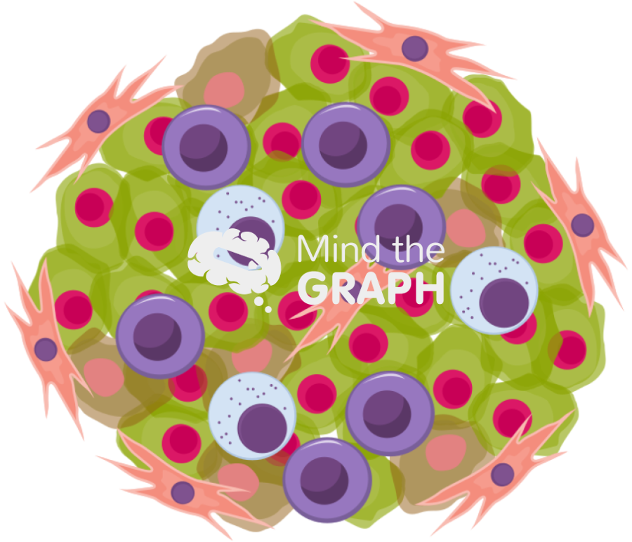 Tumor immune infiltrate Icons, Symbols, Pictures, and Images