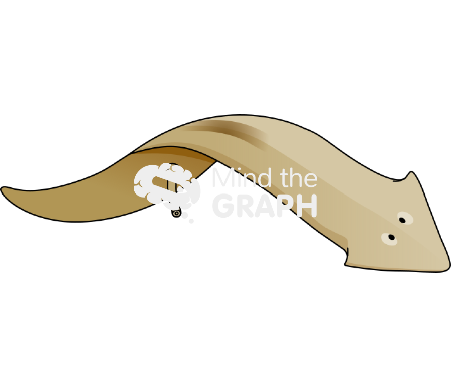 Turbellaria mouth Icons, Symbols, Pictures, and Images