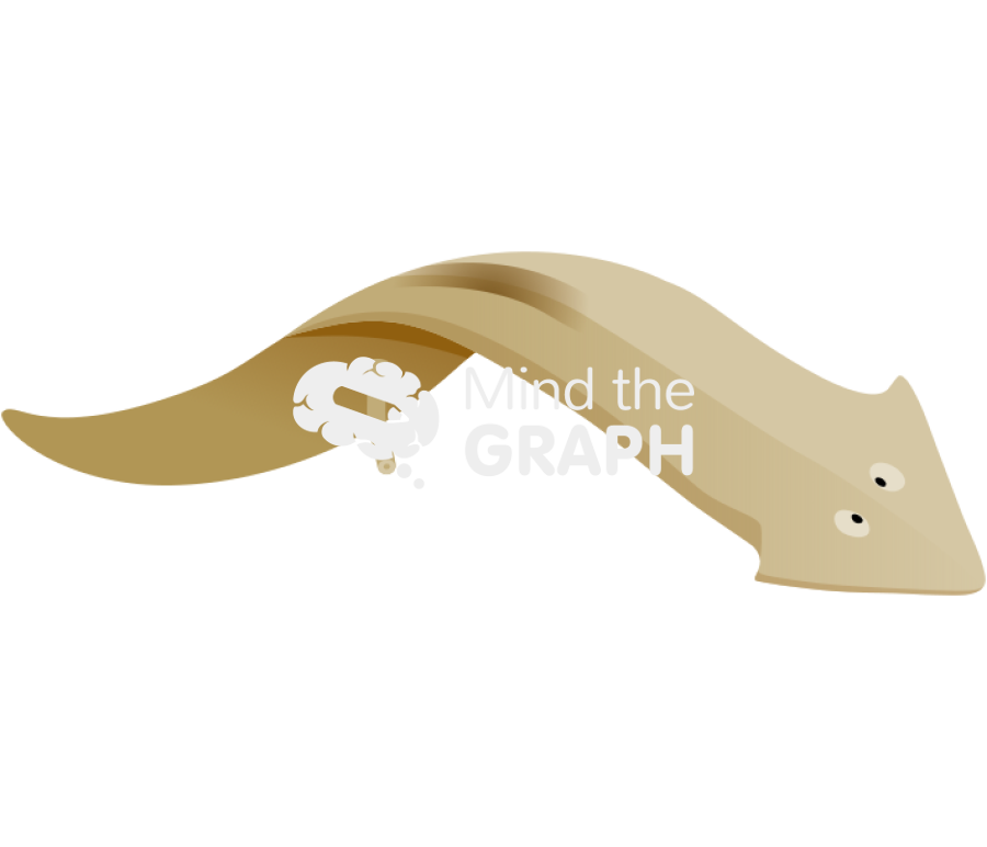 Turbellaria mouth Icons, Symbols, Pictures, and Images