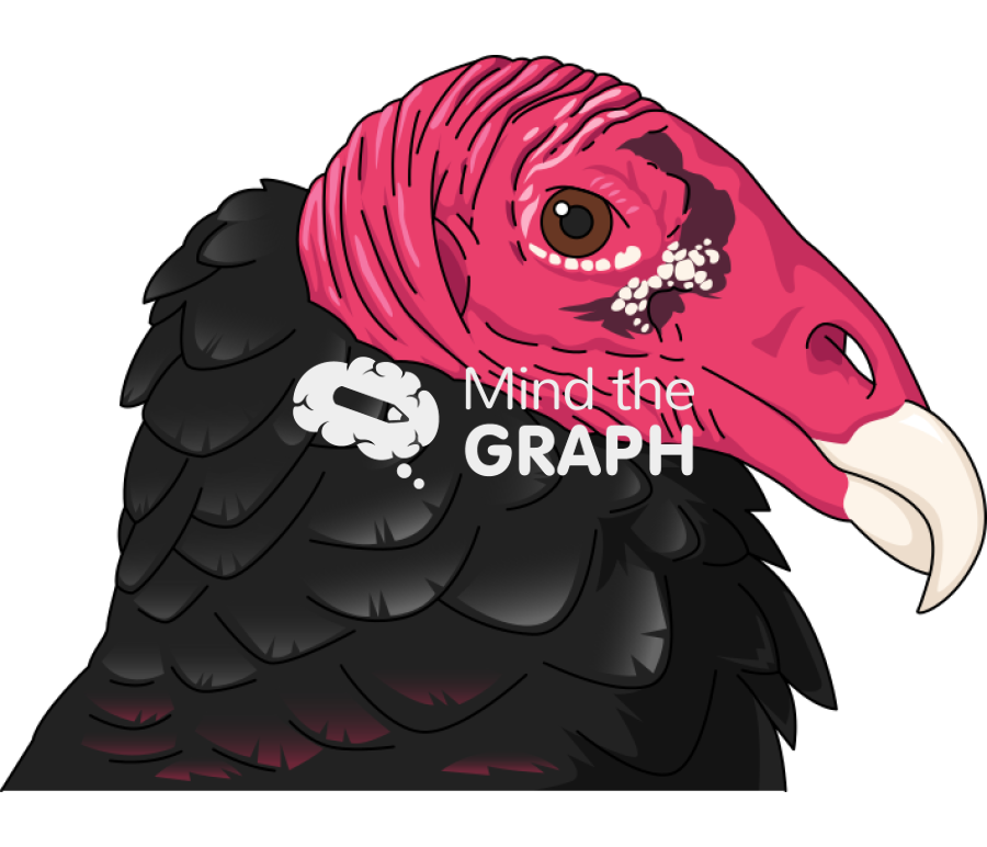 Turkey vulture head lateral Icons, Symbols, Pictures, and Images