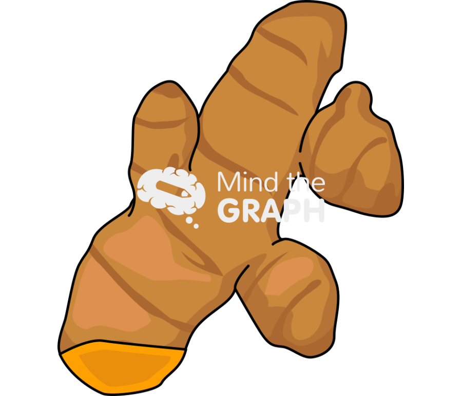 Turmeric root Icons, Symbols, Pictures, and Images