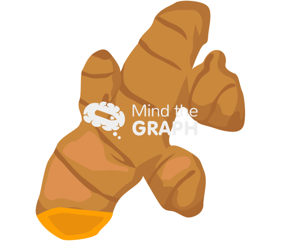 Turmeric root Icons, Symbols, Pictures, and Images