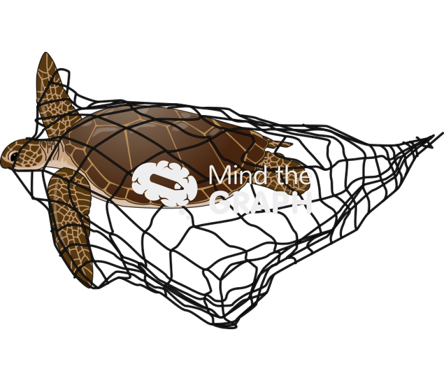 Turtle caught net Icons, Symbols, Pictures, and Images