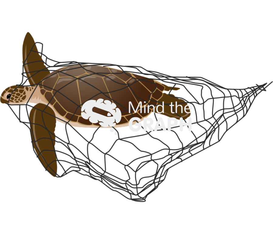 Turtle caught net Icons, Symbols, Pictures, and Images