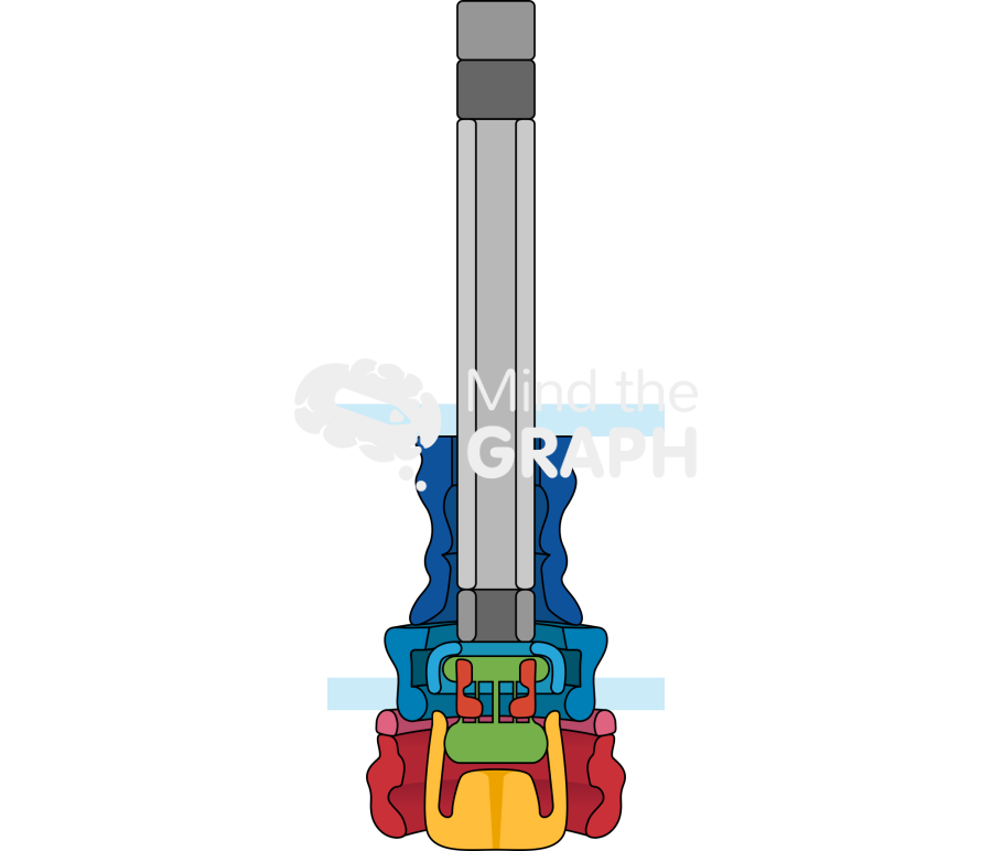 Type 3 secretion system Icons, Symbols, Pictures, and Images
