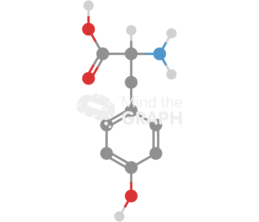 Tyrosine molecule Icons, Symbols, Pictures, and Images