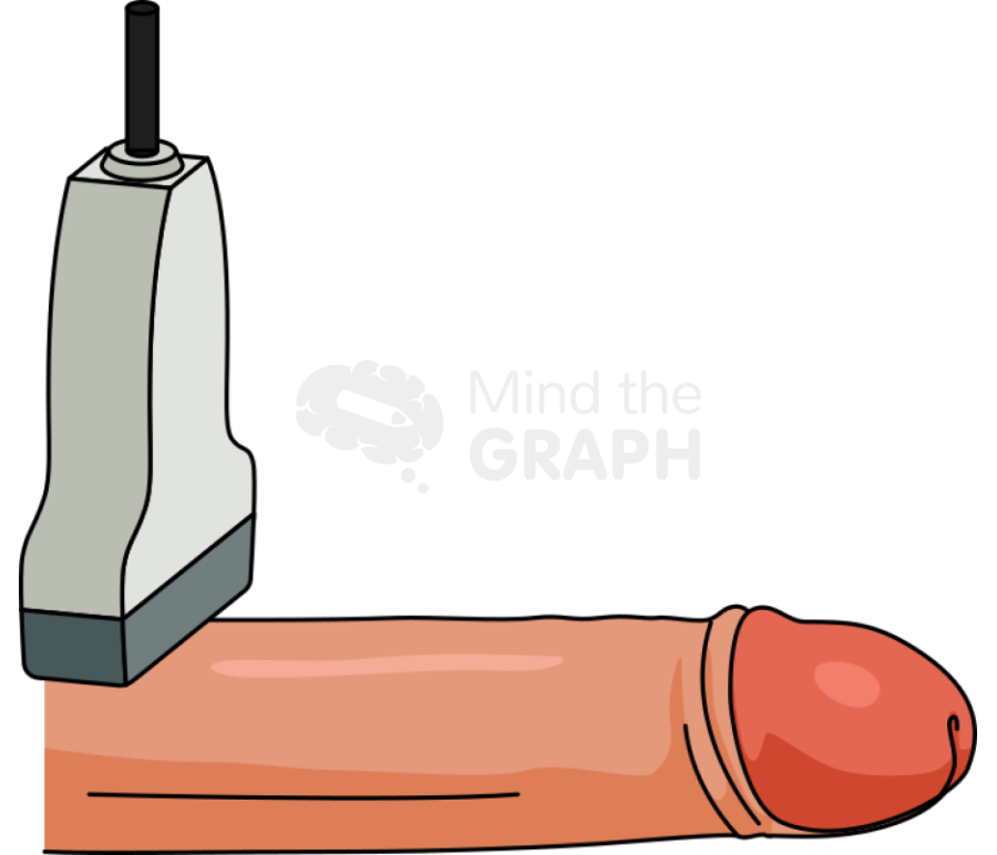 Penis ultrasound lateral Icons, Symbols, Pictures, and Images