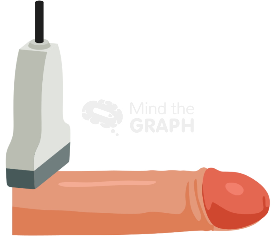 Penis ultrasound lateral Icons, Symbols, Pictures, and Images