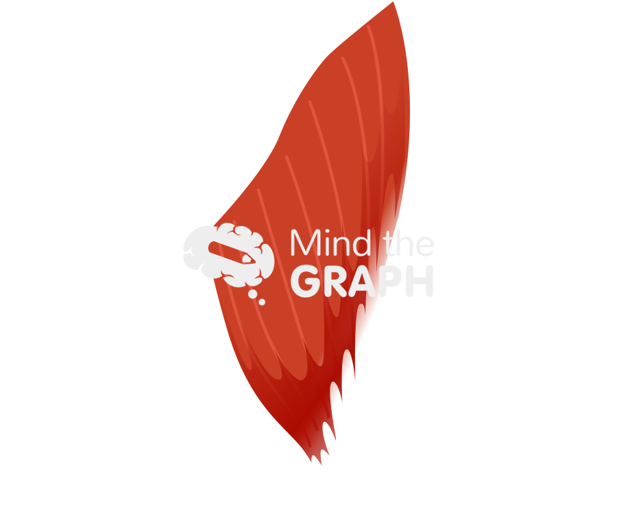 Unipennate muscle palmar interosseous Icons, Symbols, Pictures, and Images