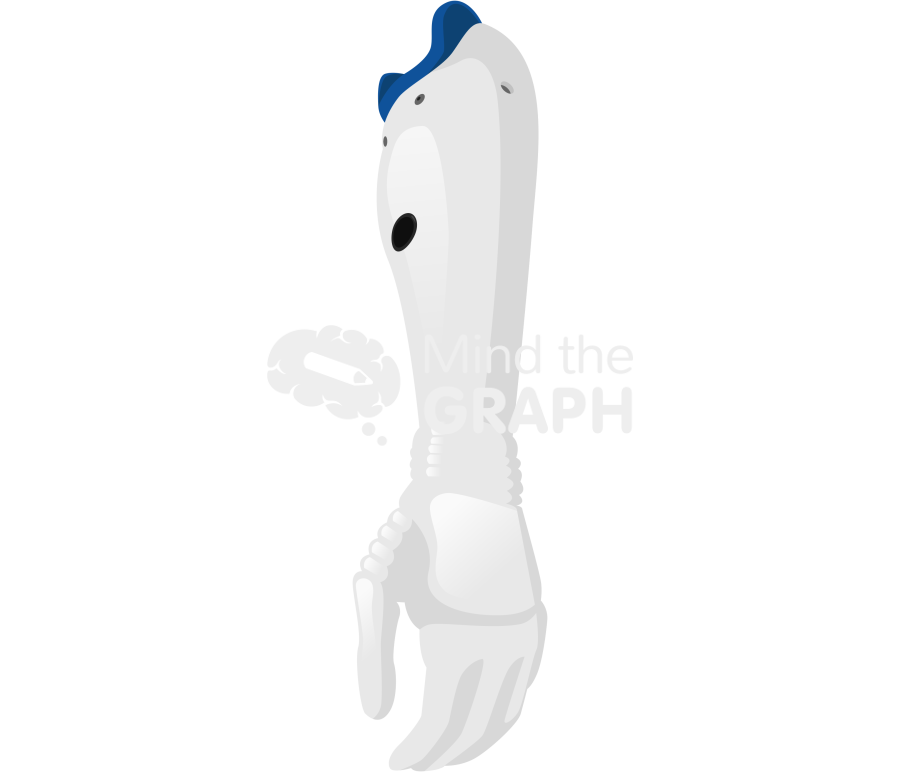 Upper limb prosthesis Icons, Symbols, Pictures, and Images