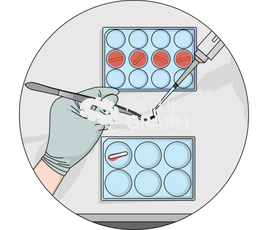 Upside down seeded cells scaffolds Icons, Symbols, Pictures, and Images