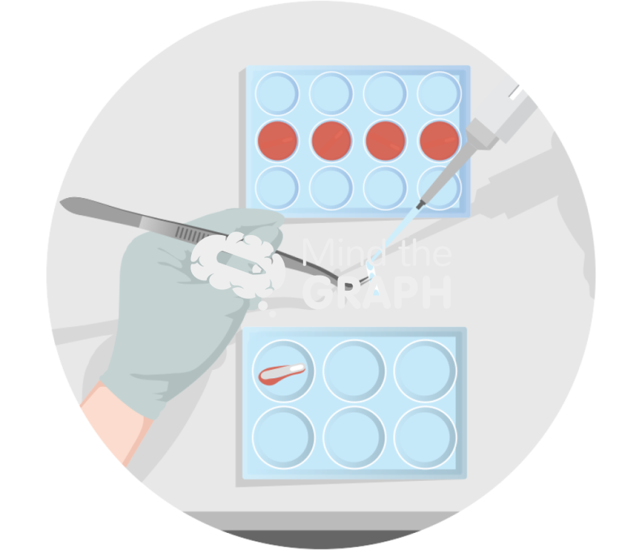 Upside down seeded cells scaffolds Icons, Symbols, Pictures, and Images