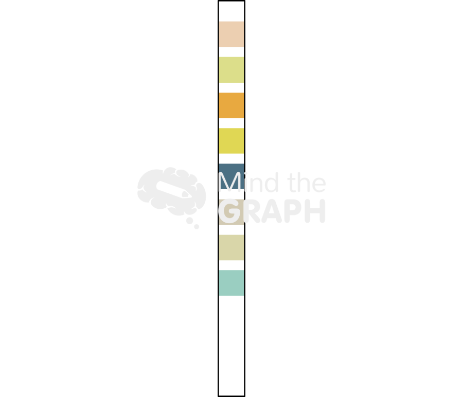 Urinary reagent strips Icons, Symbols, Pictures, and Images