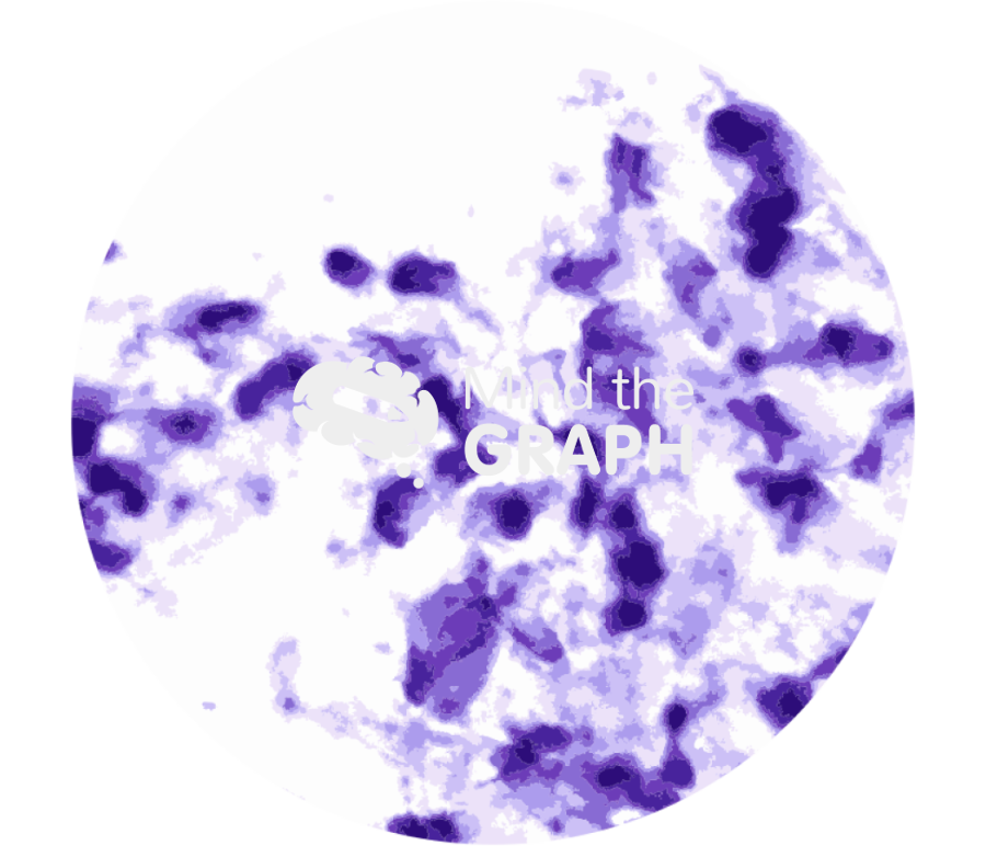 Urine cytology zoom Icons, Symbols, Pictures, and Images