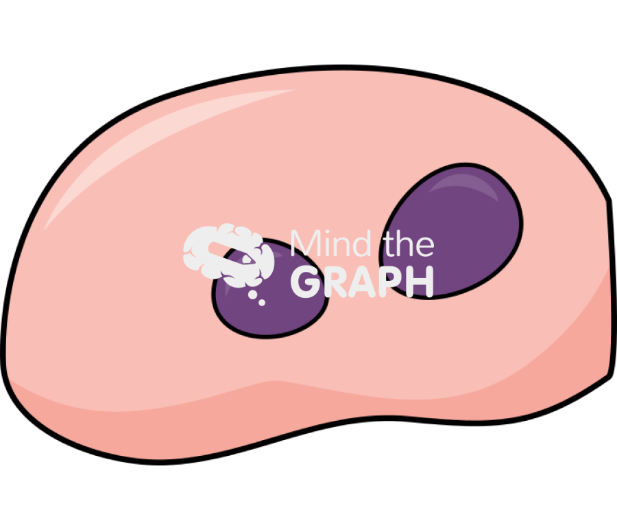 Cell urothelium 2 Icons, Symbols, Pictures, and Images