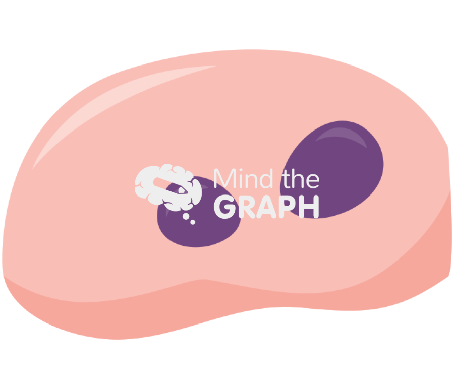 Cell urothelium 2 Icons, Symbols, Pictures, and Images