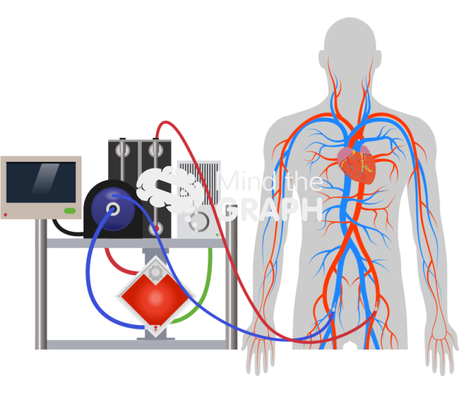 Va ecmo venoarterial extracorporeal membrane oxygenation Icons, Symbols, Pictures, and Images