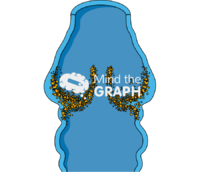 Varicose vein - Edit and Customize Icons of Varicose vein Varicose vein Icons, Symbols, Pictures, and Images