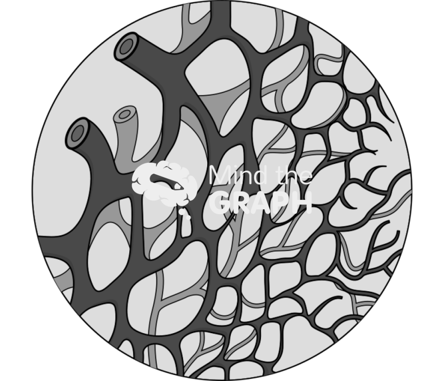 Vascular Icons, Symbols, Pictures, and Images