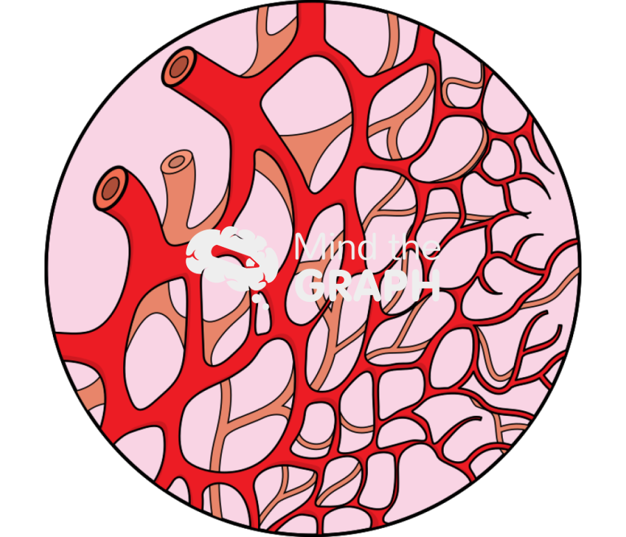 Vascular Icons, Symbols, Pictures, and Images