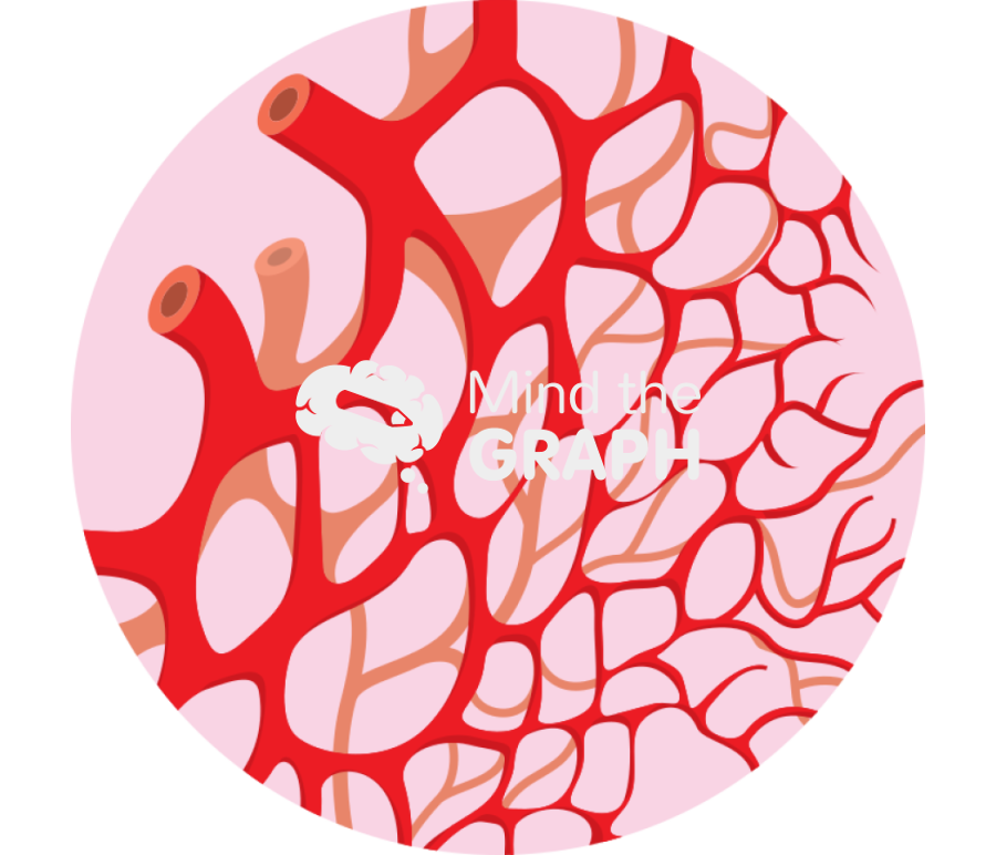 Vascular Icons, Symbols, Pictures, and Images