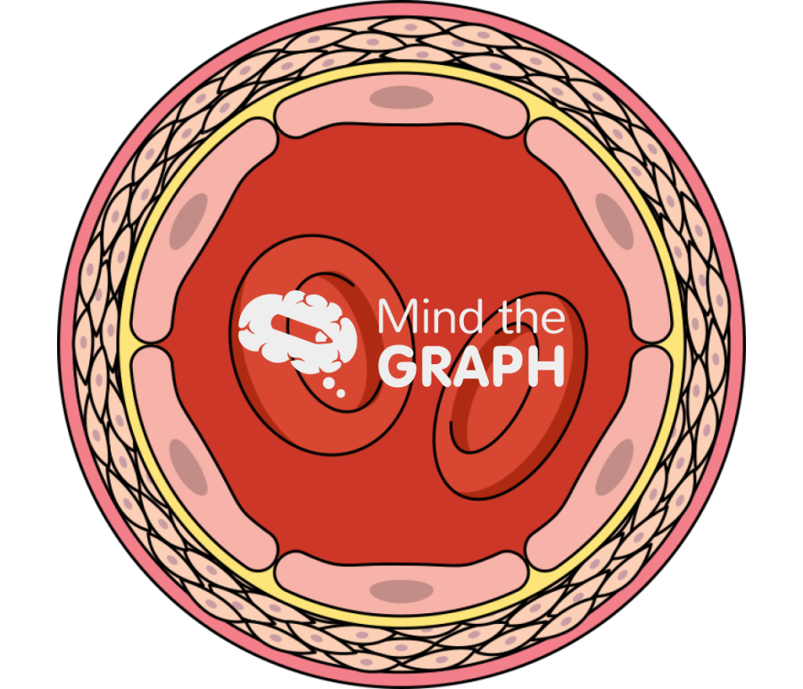 Vascular remodeling 1 Icons, Symbols, Pictures, and Images