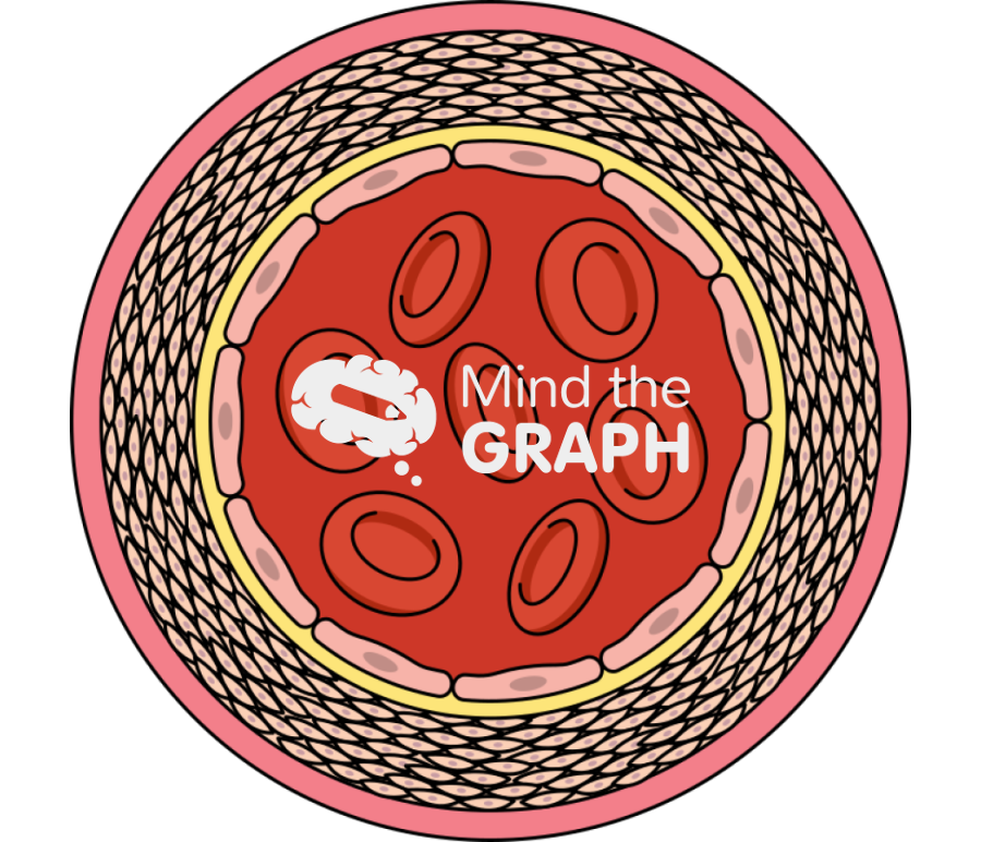 Vascular remodeling 2 Icons, Symbols, Pictures, and Images