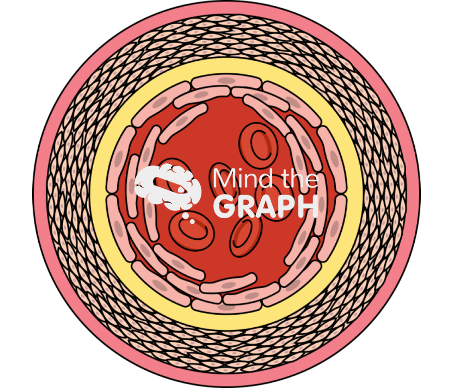 Vascular remodeling 3 Icons, Symbols, Pictures, and Images