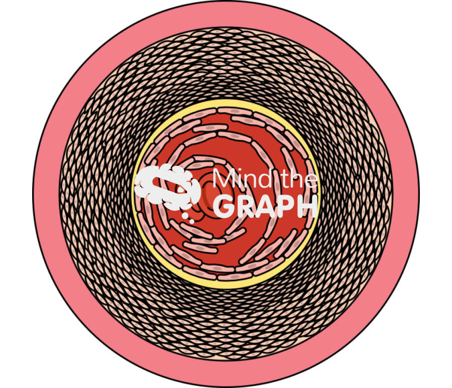 Vascular remodeling 4 Icons, Symbols, Pictures, and Images