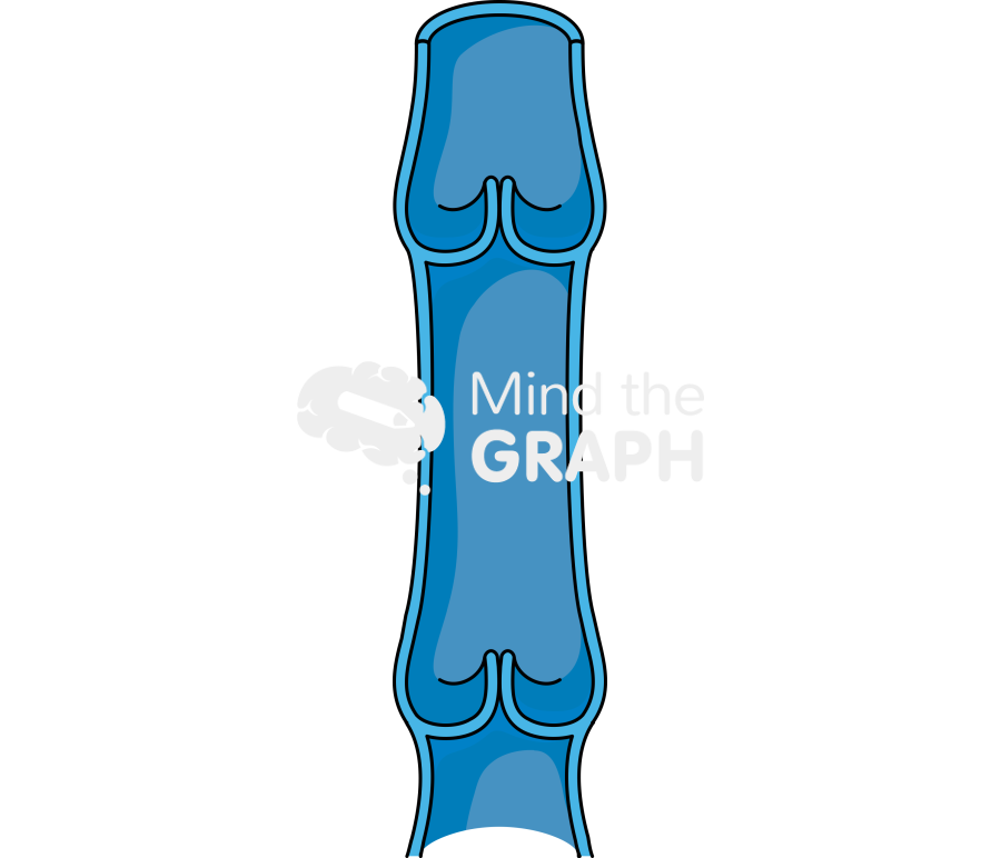 Vein 3 Icons, Symbols, Pictures, and Images