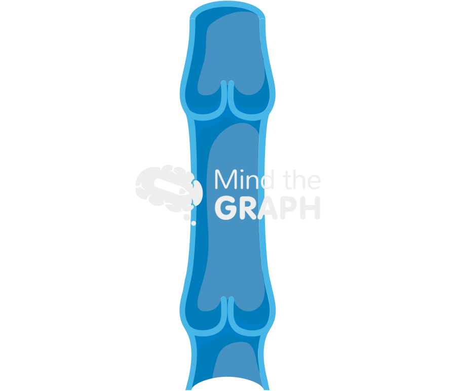 Vein 3 Icons, Symbols, Pictures, and Images