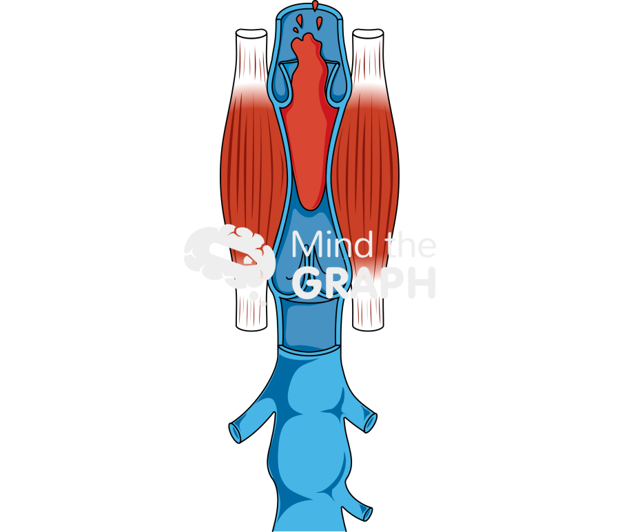 Venous return 1 Icons, Symbols, Pictures, and Images