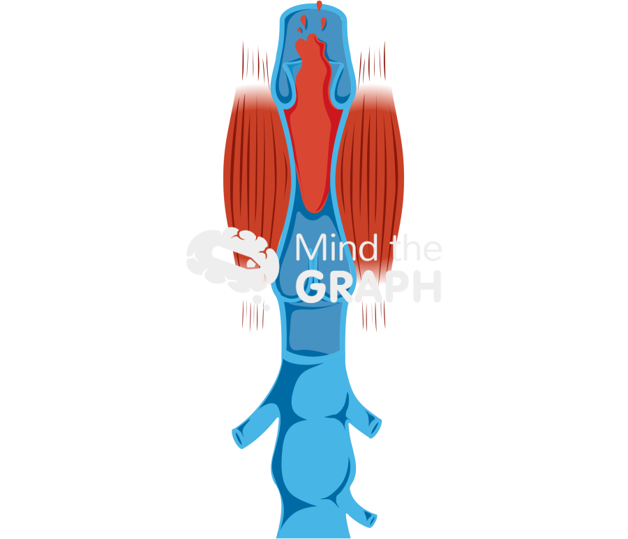 Venous return 1 Icons, Symbols, Pictures, and Images