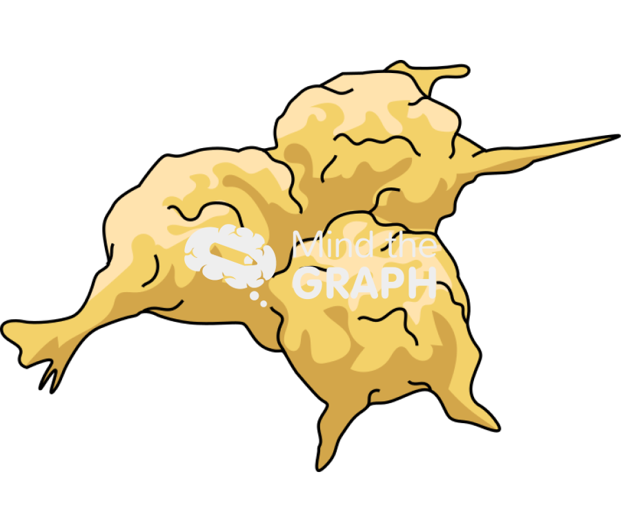 Vermamoeba vermiformis cysts Icons, Symbols, Pictures, and Images