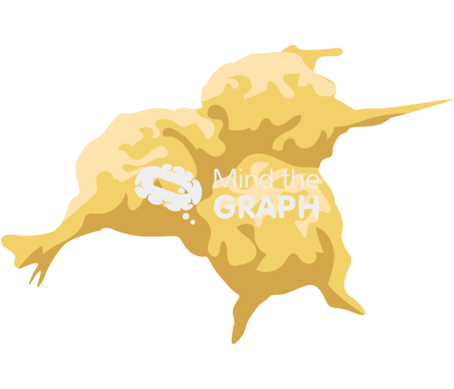 Vermamoeba vermiformis cysts Icons, Symbols, Pictures, and Images