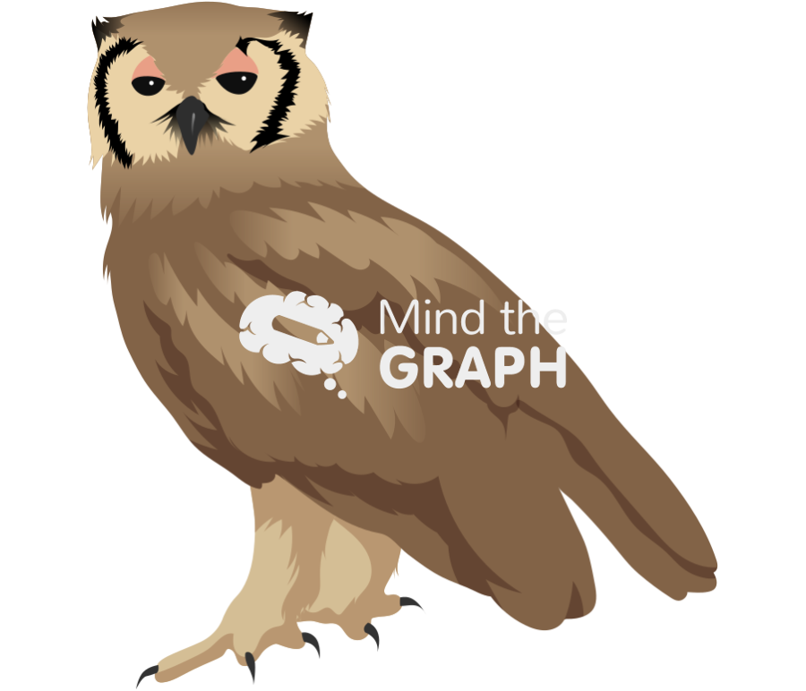 Verreaux spotted owlet Icons, Symbols, Pictures, and Images